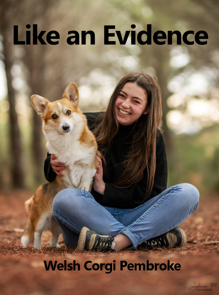 Like an Evidence