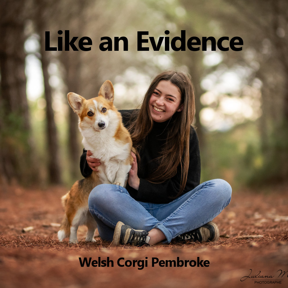 Like an Evidence