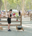 Beaucaire 2025