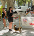 Beaucaire 2025